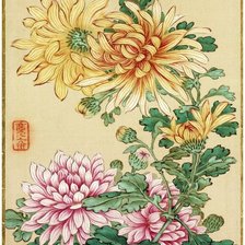 Схема вышивки «Хризантемы»