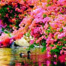 Схема вышивки «№2664544»