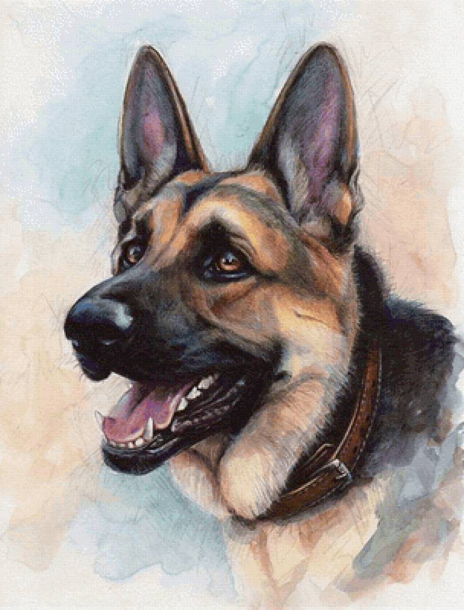 Овчарка. Акварель - художники - предпросмотр