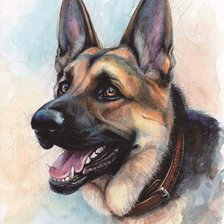 Овчарка. Акварель
