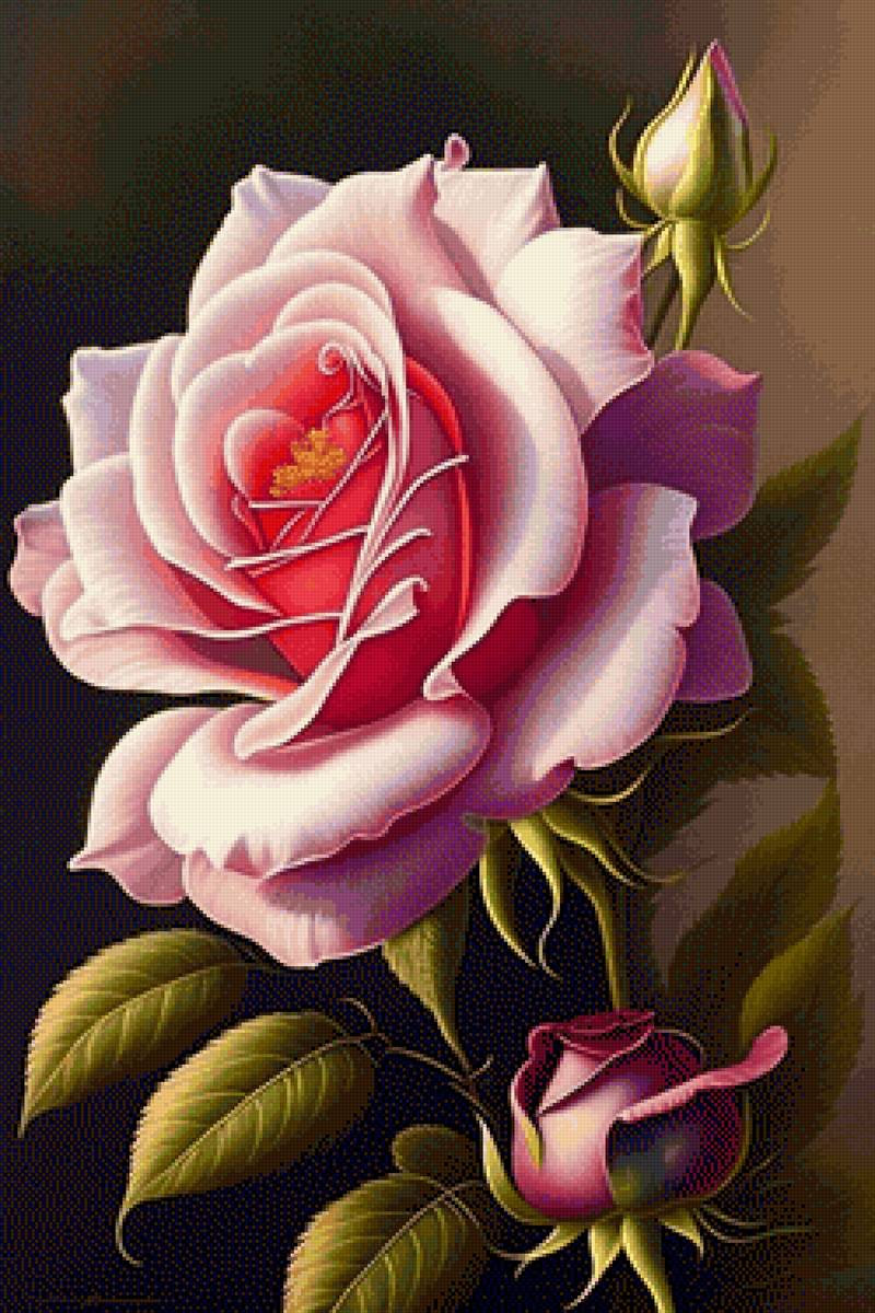 Hoa hồng - предпросмотр