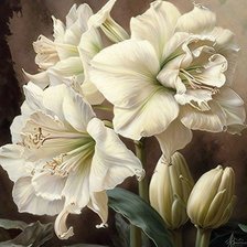 Схема вышивки «№2664705»