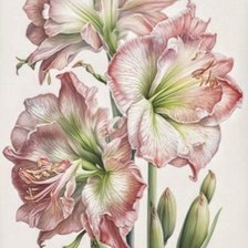 Схема вышивки «№2664714»