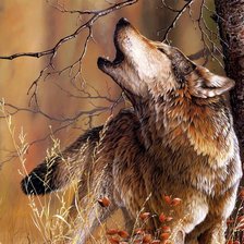 Схема вышивки «Зов волка»