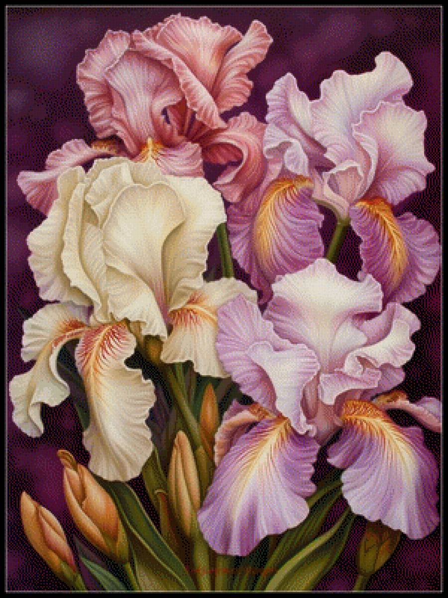 №2664773 - картина. - предпросмотр