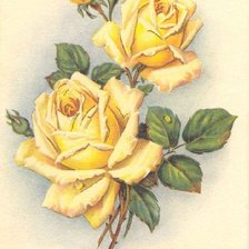 Схема вышивки «№2665237»