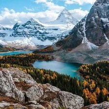 Схема вышивки «№2665284»