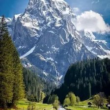 Схема вышивки «№2665290»