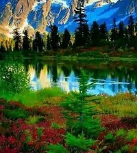 Схема вышивки «№2665292»