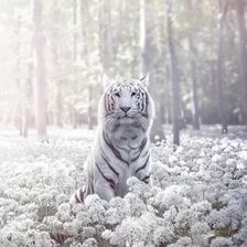 Схема вышивки «№2665362»