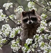 Схема вышивки «№2665366»