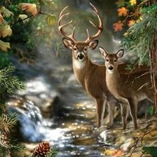 Схема вышивки «№2665383»