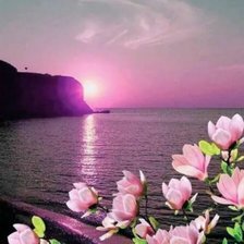 Схема вышивки «№2665530»