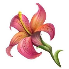 Схема вышивки «подушка лилия»