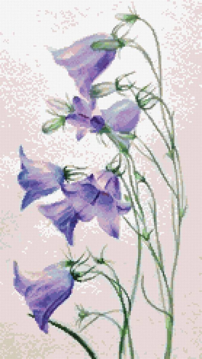 вставка колокольчики - предпросмотр