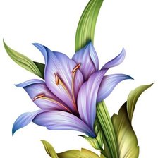 Схема вышивки «цветок»