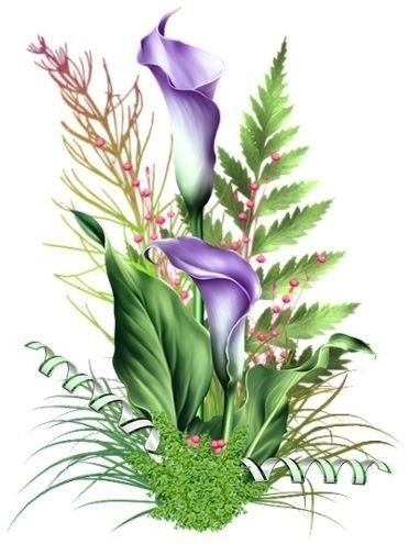 каллы - оригинал