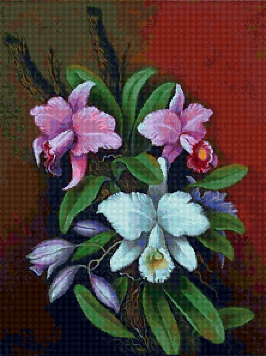 орхидеи - предпросмотр