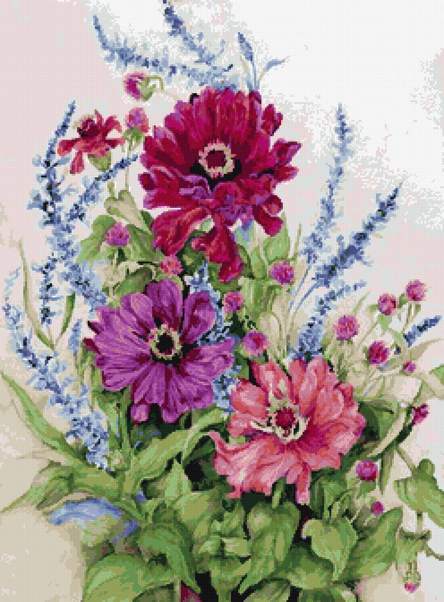 цинии в ПНК - предпросмотр