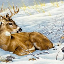 Схема вышивки «№2666009»