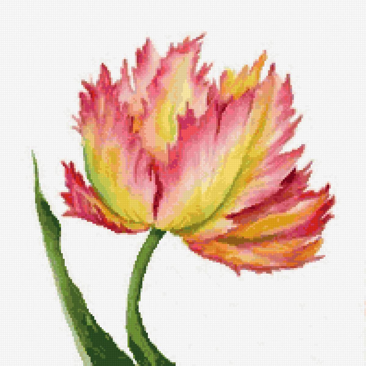 тюльпан 2 - предпросмотр