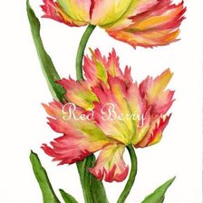 Схема вышивки «тюльпаны 3»