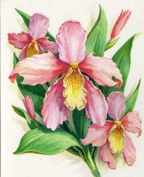 подушка орхидея - оригинал