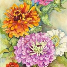 Схема вышивки «цинии»