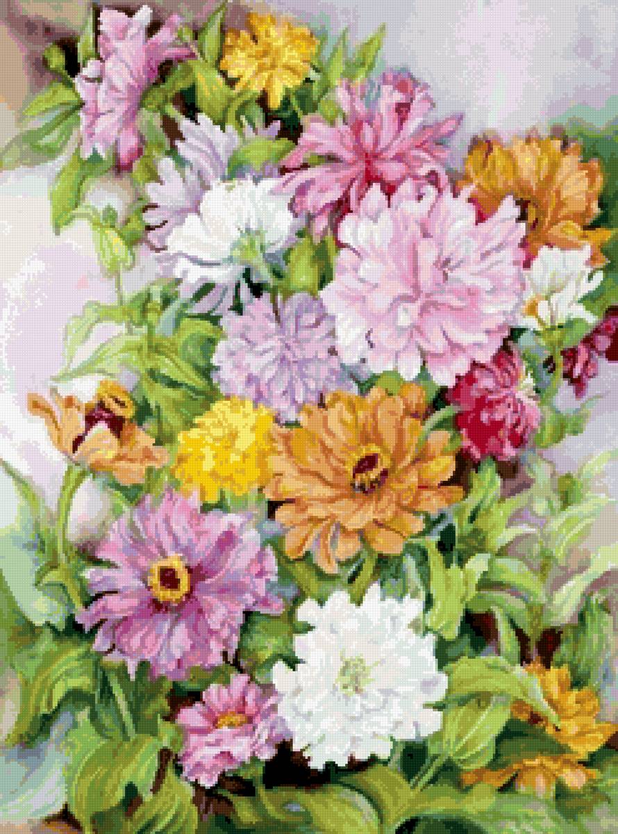 цинии - предпросмотр