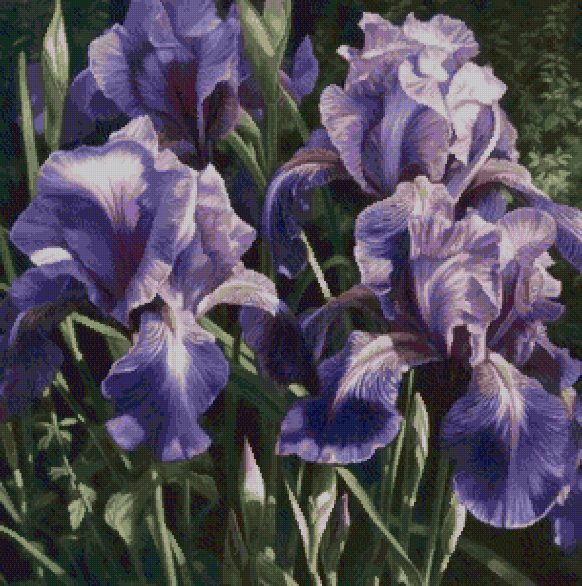 №2666743 - предпросмотр