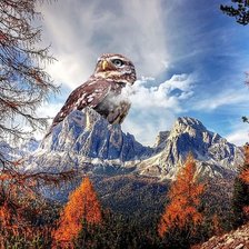 Схема вышивки «Пейзаж.»