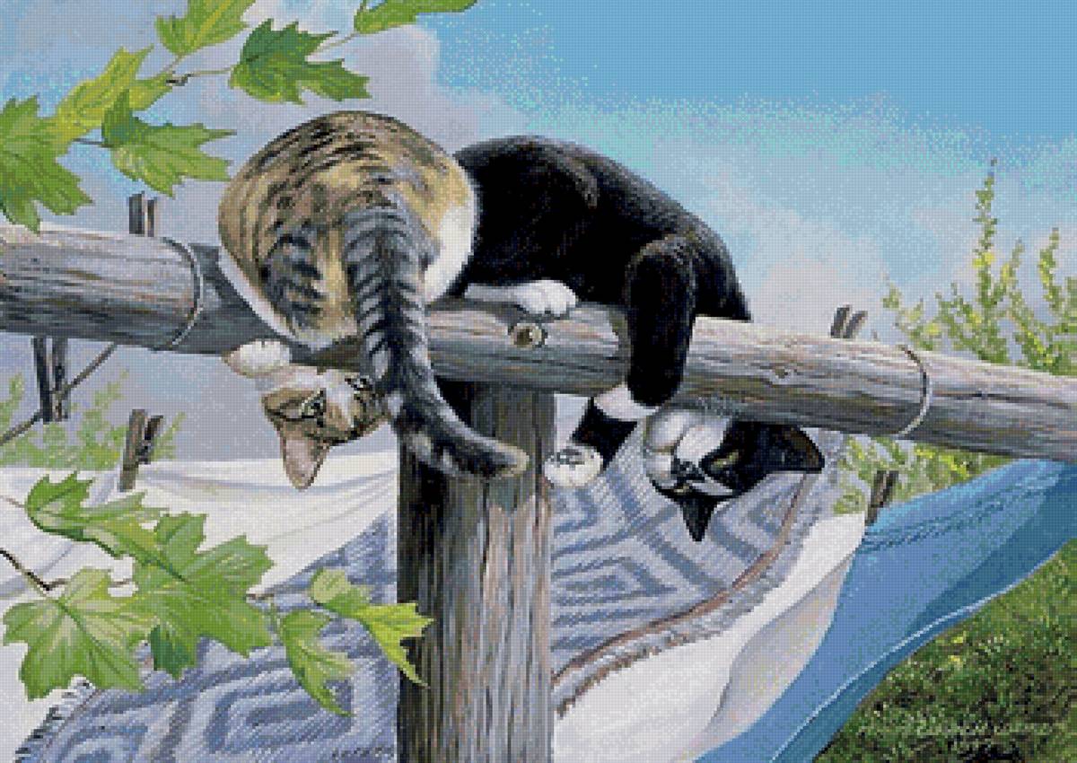 №2666854 - кошки, шалуны, коты - предпросмотр