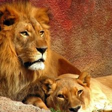 Схема вышивки «Идиллия»