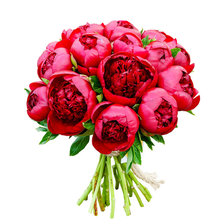 Схема вышивки «№2667151»