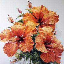 Схема вышивки «№2667165»