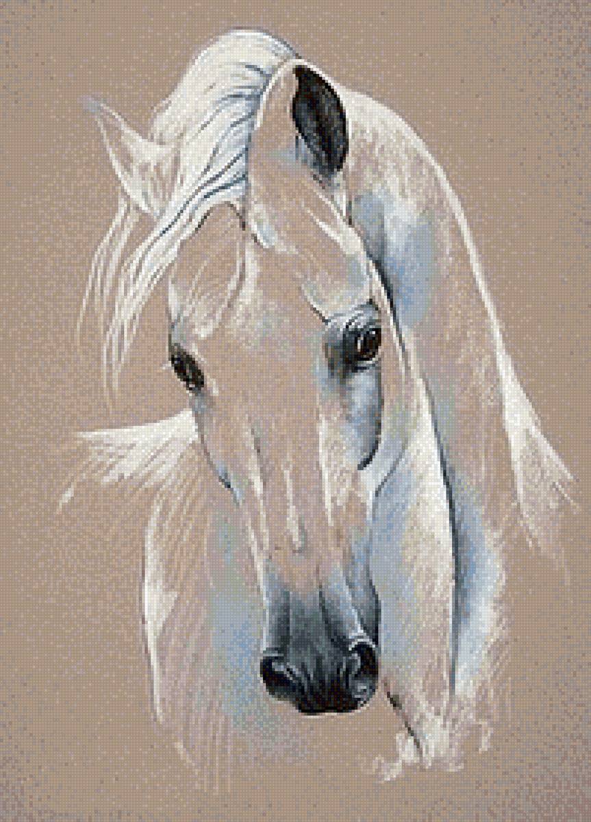 2 - лошадь, конь - предпросмотр