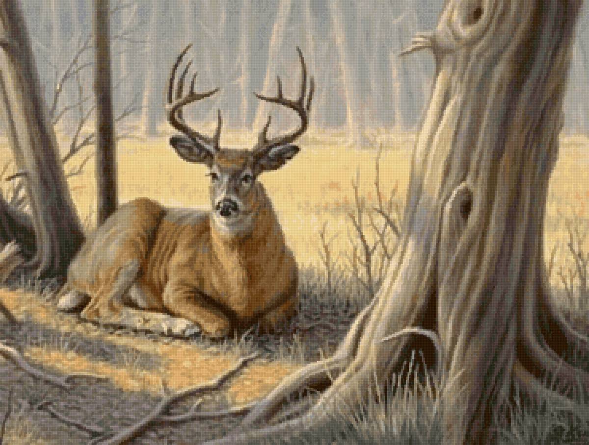 №2667699 - предпросмотр