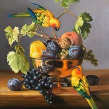 Схема вышивки «Попугаи»