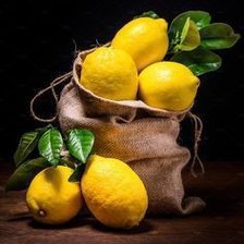 Схема вышивки «Лимоны»