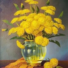 Одуванчики