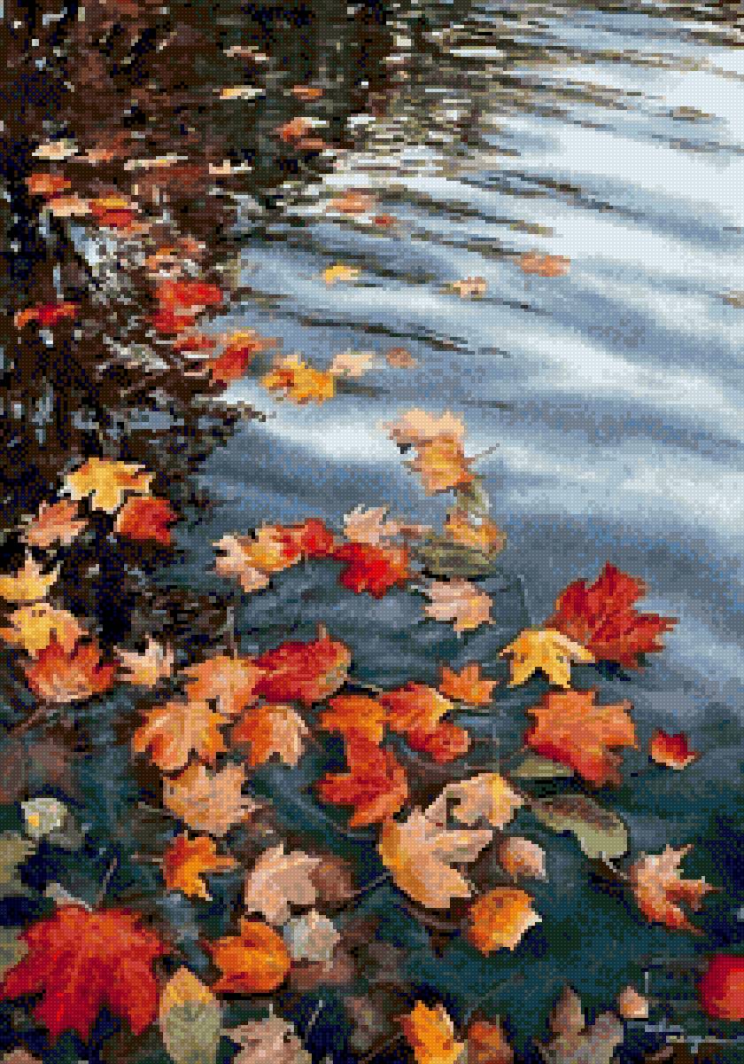 Осенние листья - листья, вода - предпросмотр