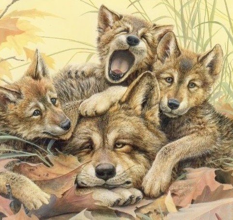 усатый нянь - волк, хищники, волчата - оригинал