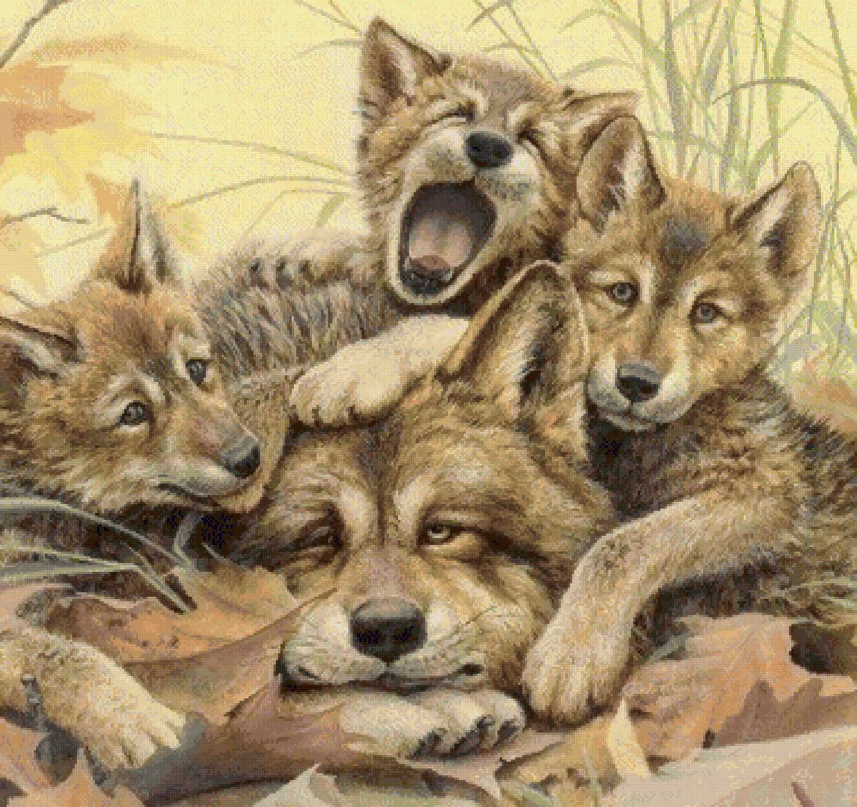 усатый нянь - хищники, волчата, волк - предпросмотр