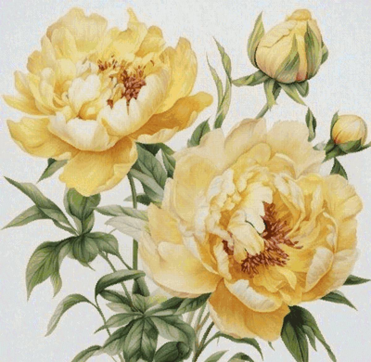 №2668781 - предпросмотр