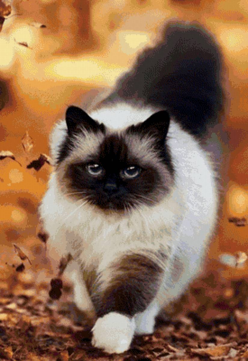 №2668870 - предпросмотр