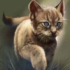 Схема вышивки «№2668902»