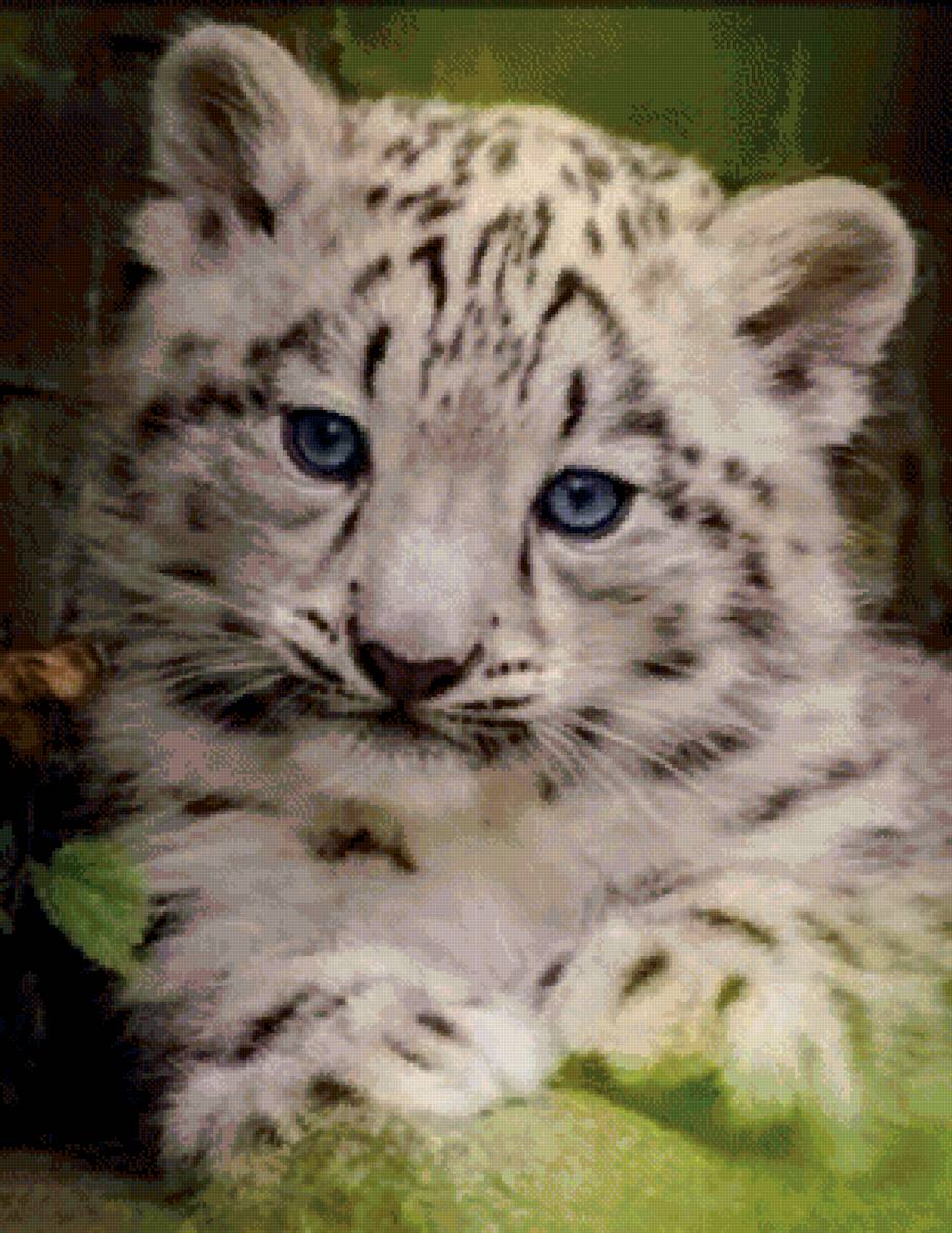 №2668912 - животные - предпросмотр