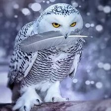 Схема вышивки «№2668915»