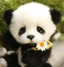 Схема вышивки «№2668947»