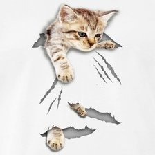 Схема вышивки «котик»